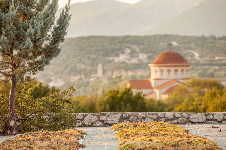 spreading grapes on the ground in the buckround of church's tower at Orealios Gaea area